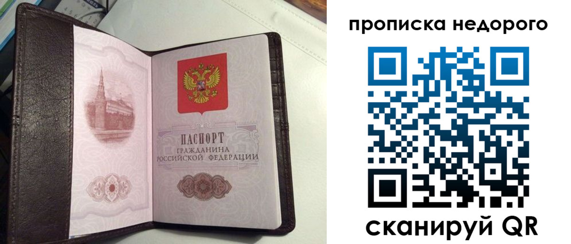 найти адрес прописки в Курске