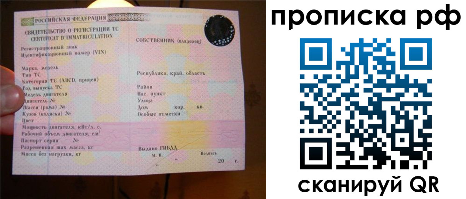 регистрация для школы в Курске